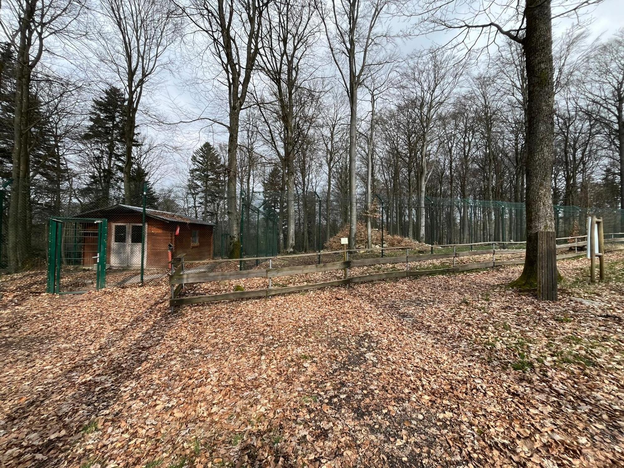 Hochwald Lodge Морбах Екстериор снимка